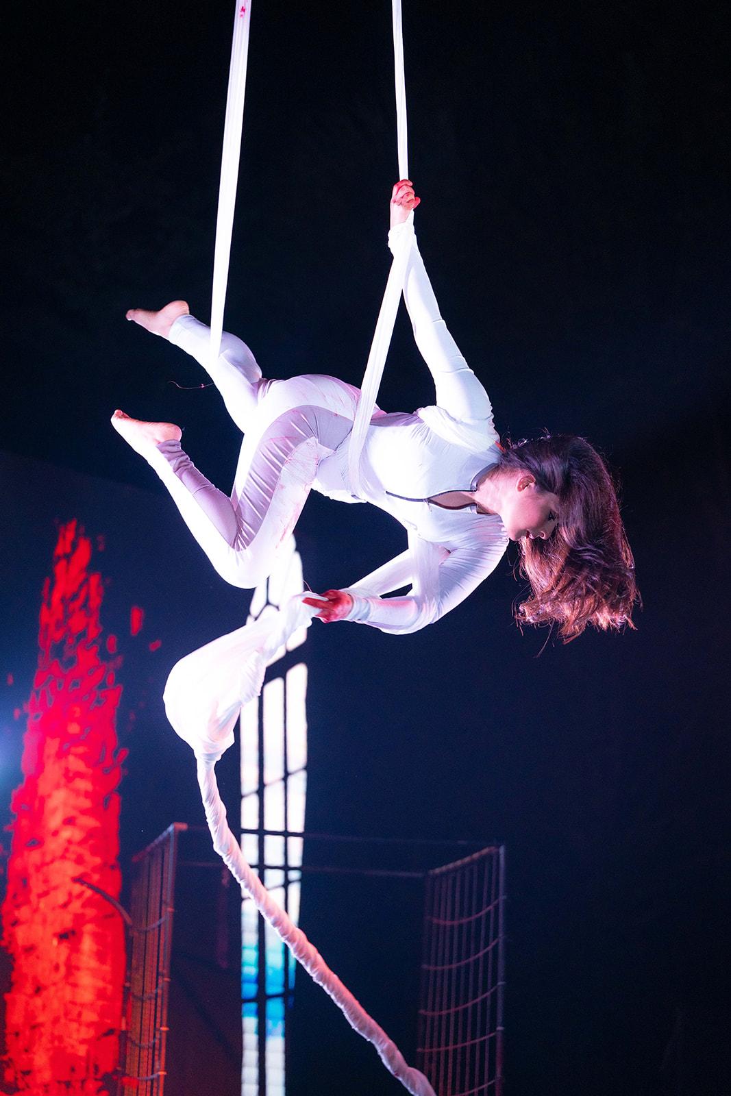 Aerial Arts In Image