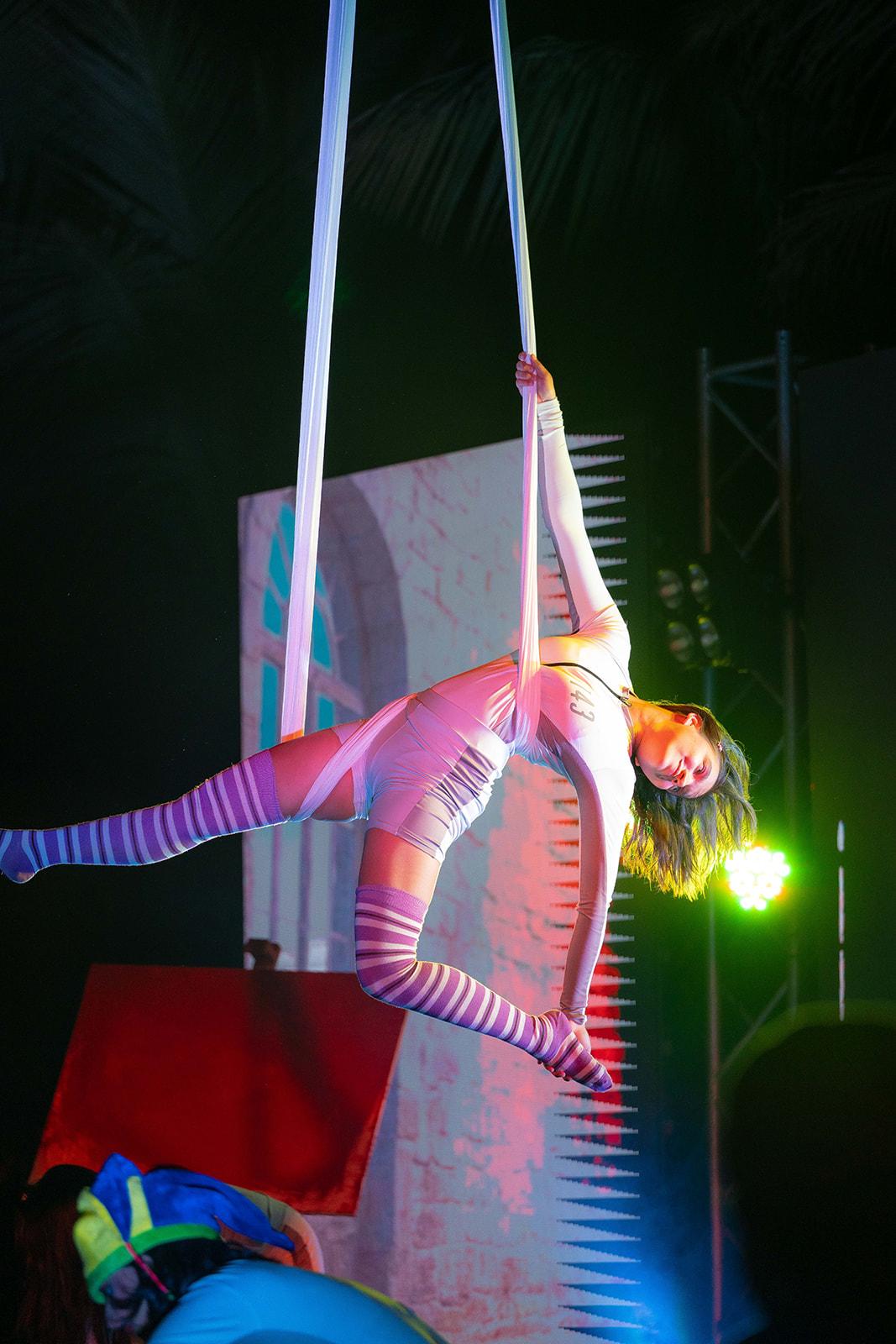 Aerial Arts In Image