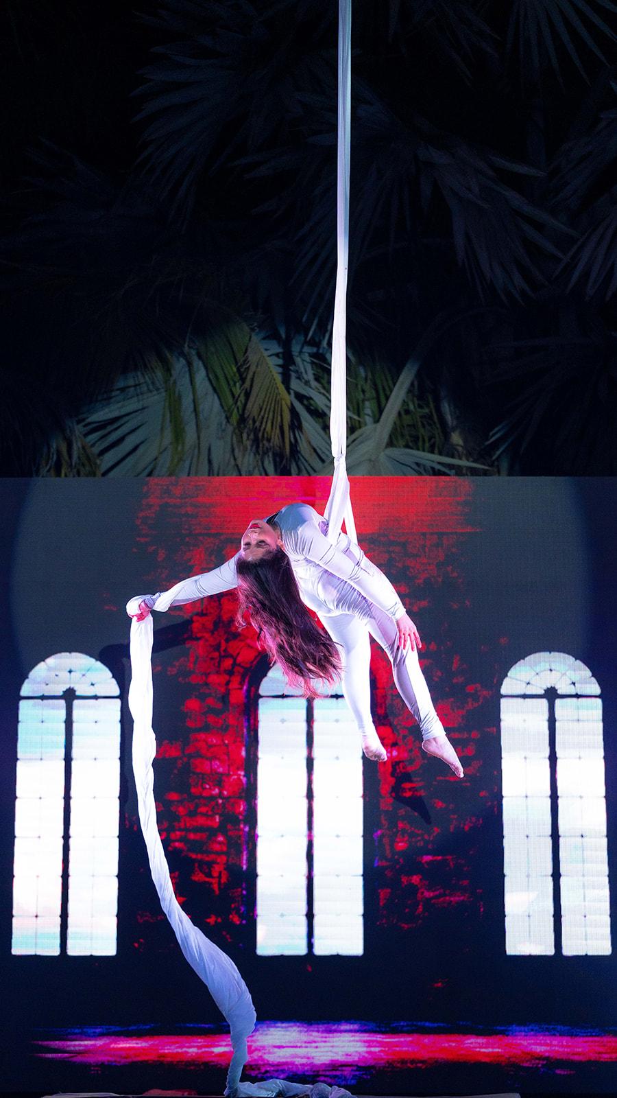 Aerial Arts In Image