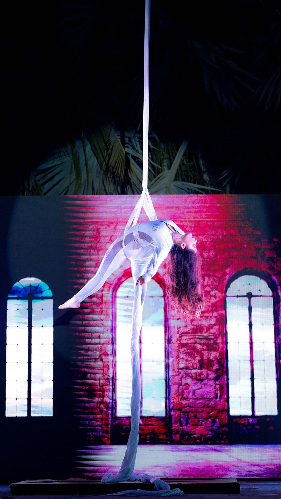 Aerial Arts In Image